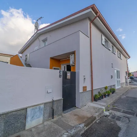 Brorent Domo De Aurora *