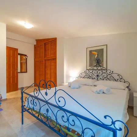 Brorent Domo De Aurora * Olbia