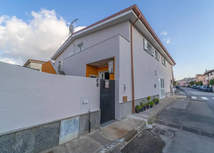 Brorent Domo De Aurora *